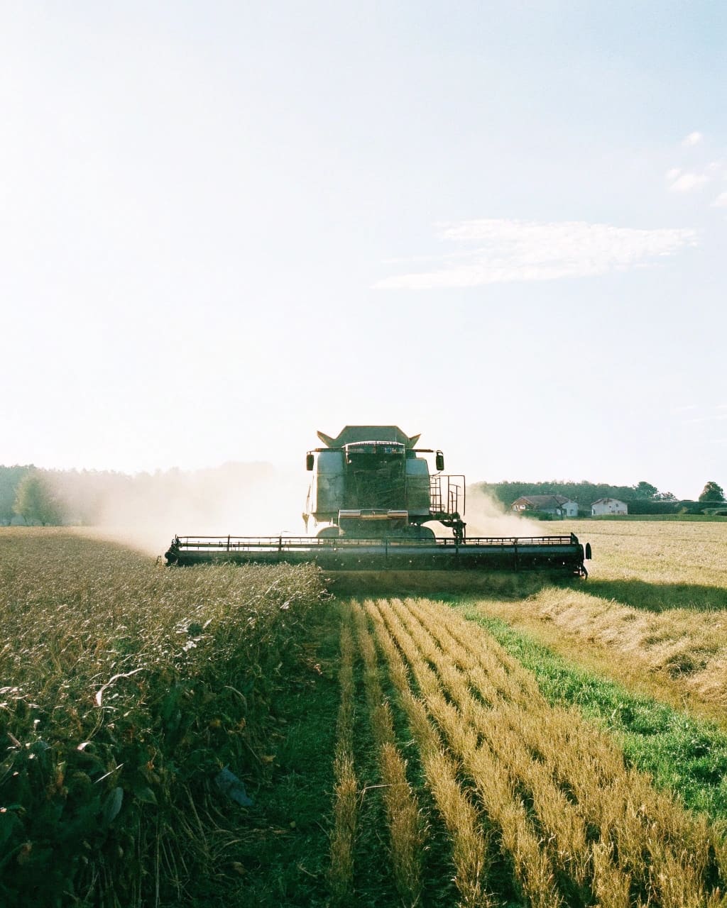 Explore las propiedades rurales más destacadas