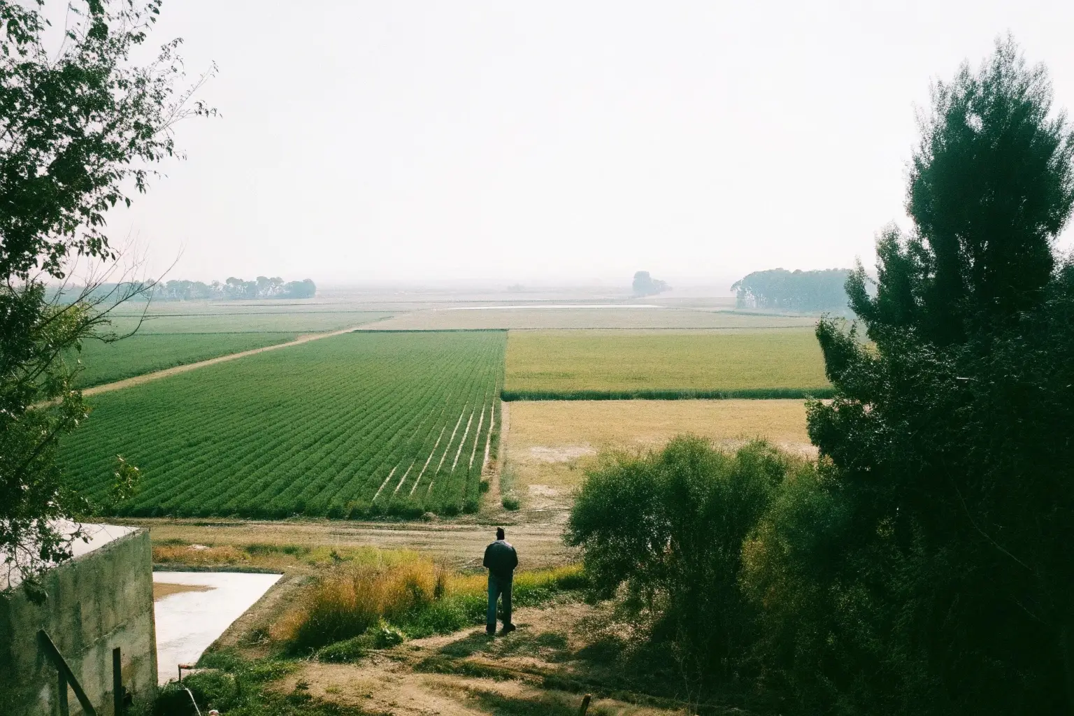 Menos impuestos en el agro: una oportunidad para el mercado de campos