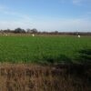Campo de 188 ha-Villa Robles-Agricultura y Ganadería-Agua-100m de Ruta