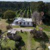 CAMPO EN VENTA. 36 HECTÁREAS + 3 CASAS
